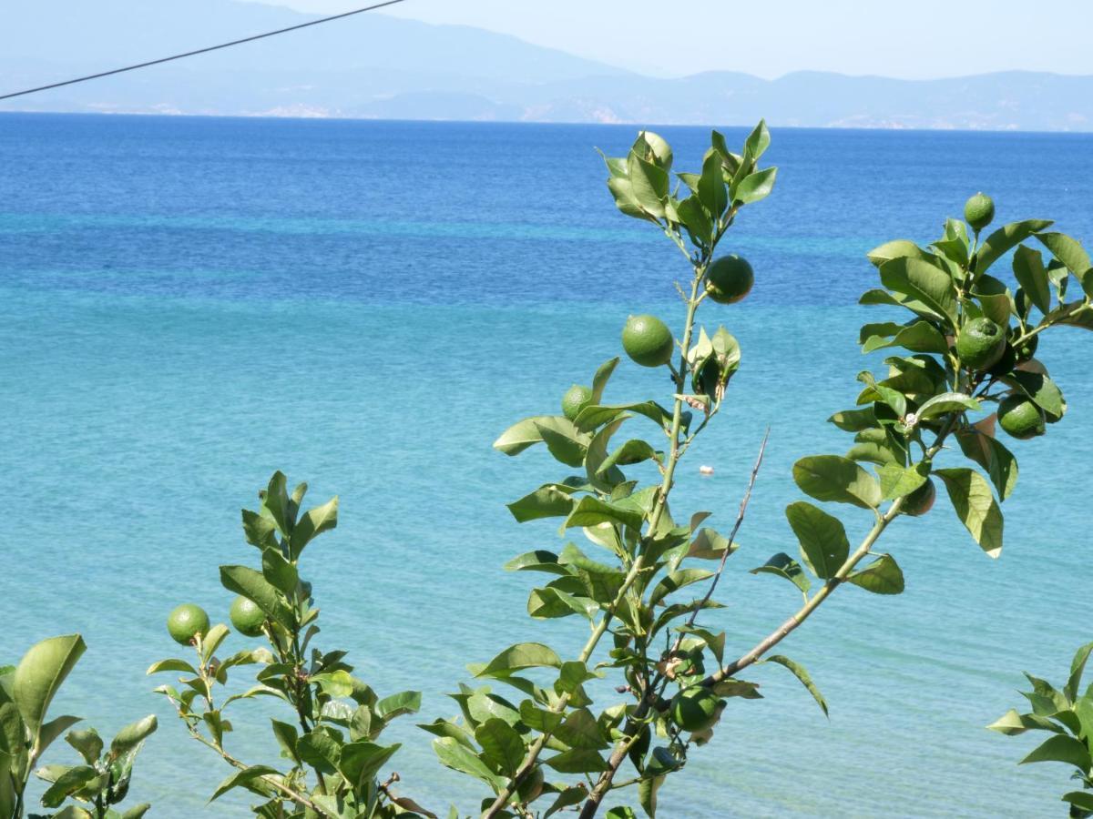 Villa Giotis سكالا سوتيروس المظهر الخارجي الصورة